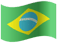ברזיל